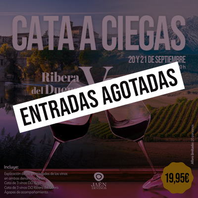 Cata a ciegas “Ribera del Duero vs. Rioja”